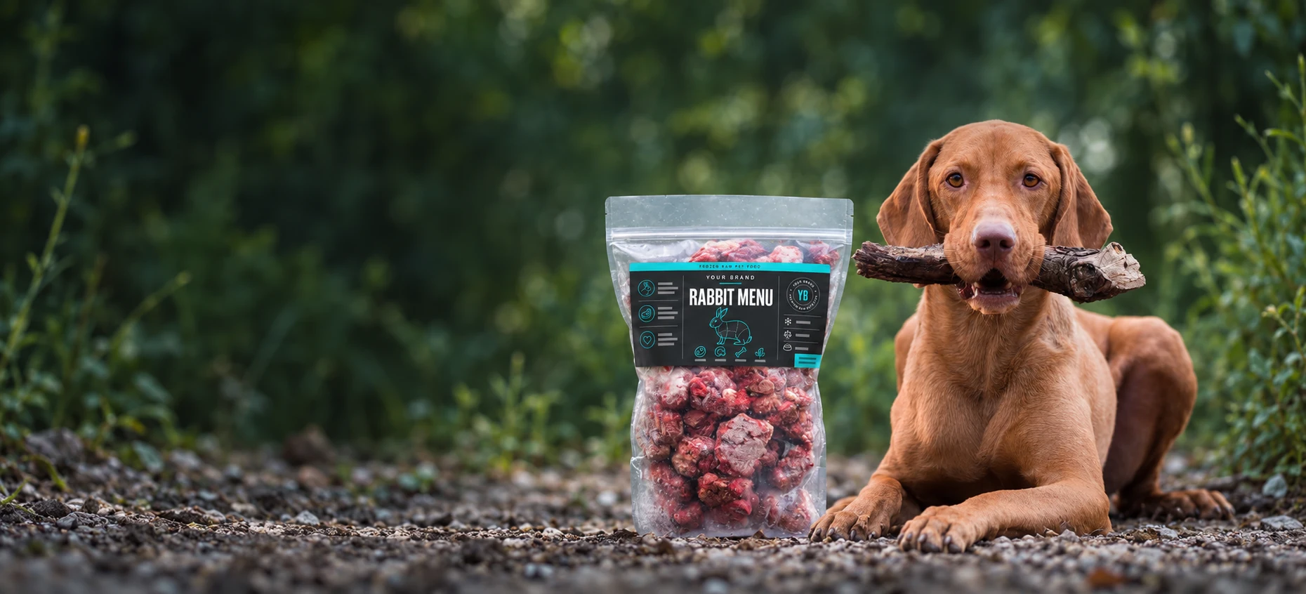 Illustrative white-label frozen raw pouch beside a dog, based on BARFER photography